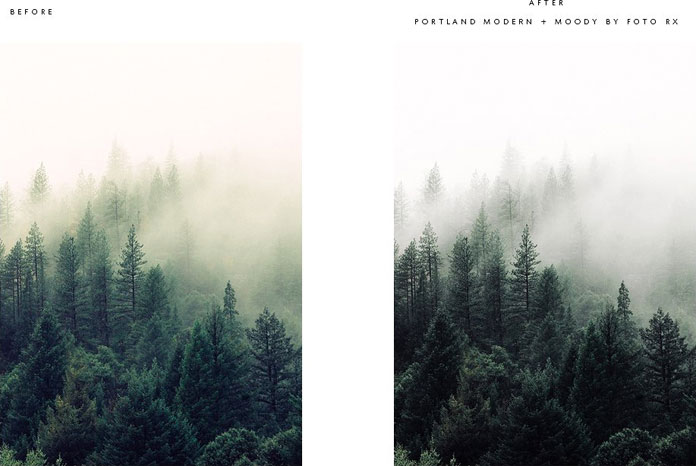 Foggy forest - before and after