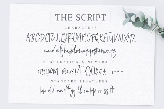 The script.