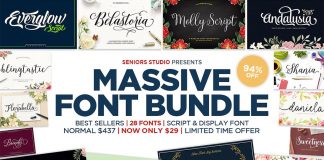 Huge font bundle from Seniors Studio.