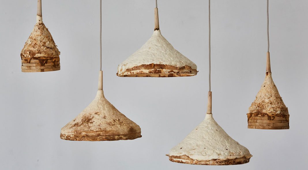 Weathered interior design created by Sebastian Cox and Ninela Ivanova using mushroom mycelium.