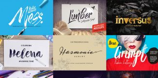 The Fontelicious Bundle