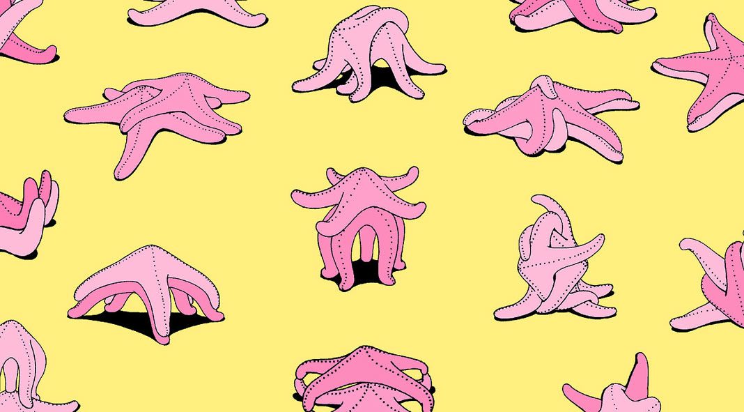 Surreal and cheeky illustrations by Mrzyk & Moriceau