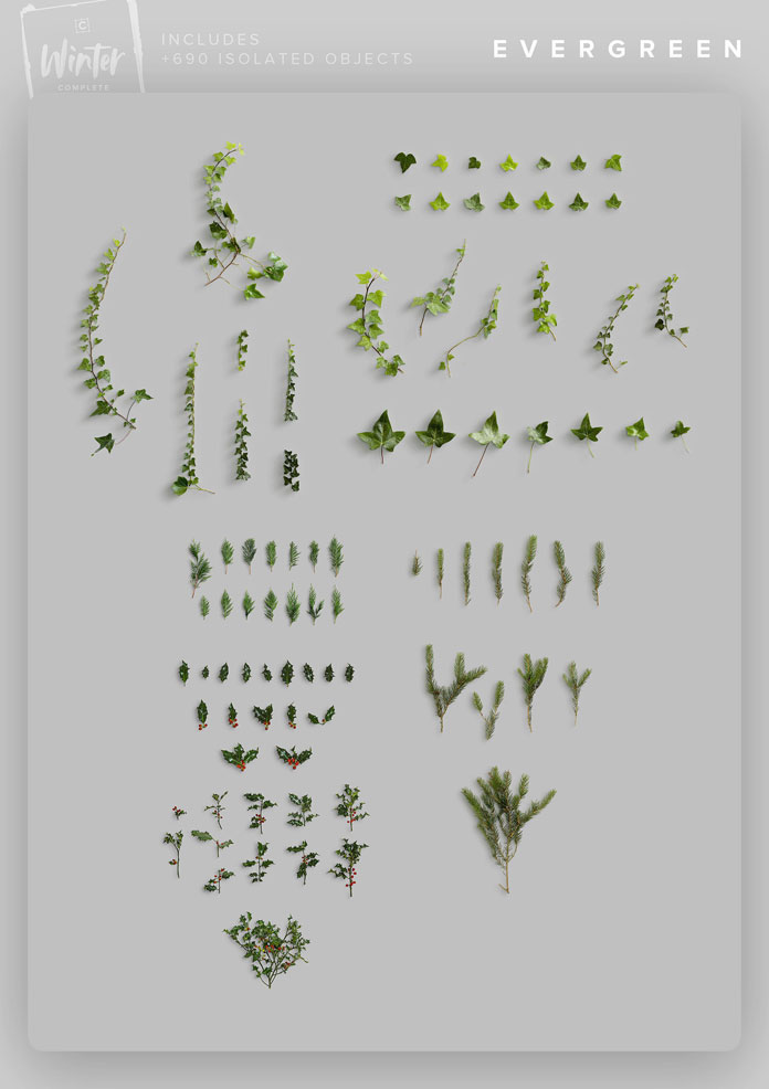 Winter evergreen objects.