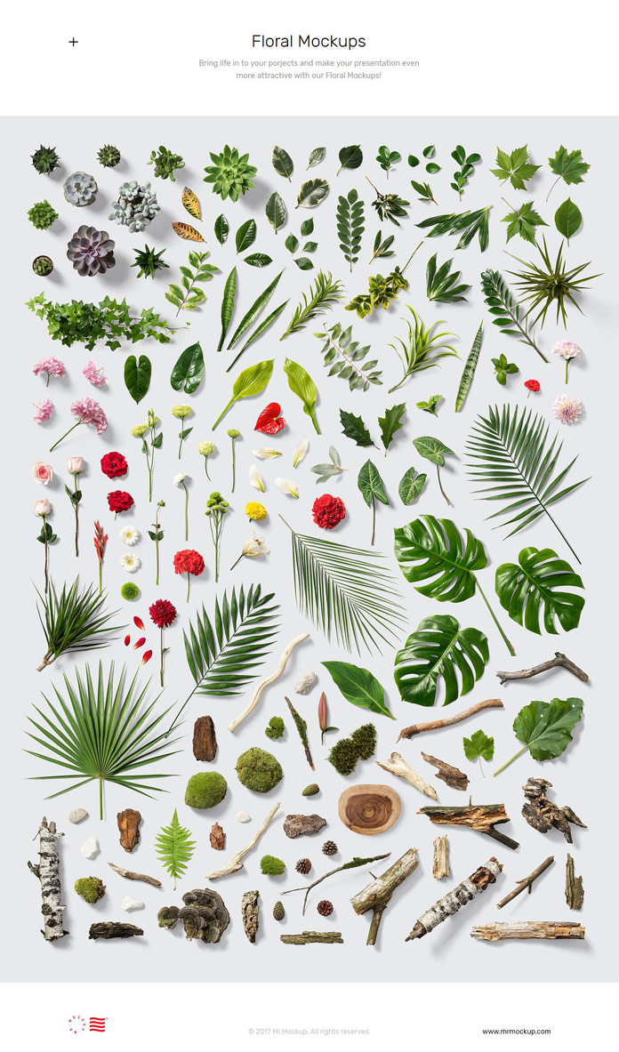 Bring life to your projects and make your presentations even more attractive with these floral mockups.