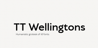 TT Wellingtons font family from TypeType