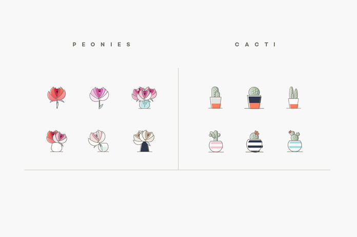 Peonies and cacti