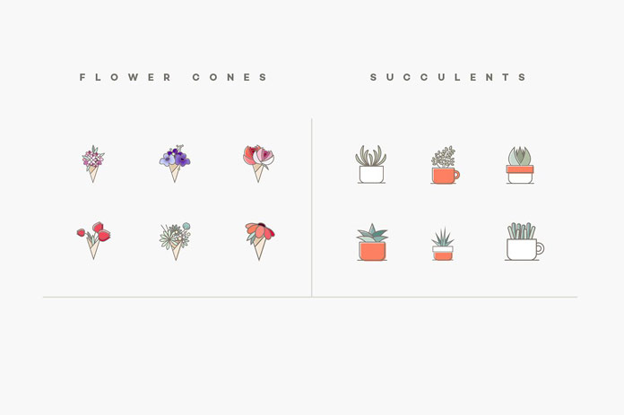Flower cones and succulents