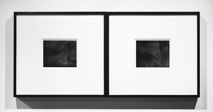 Rafael Soldi, Lifeline