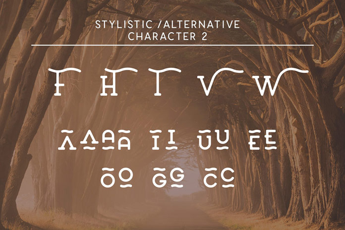 Stylistic alternates set 2. Stylistic alternates set 2.