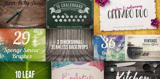 The Design Panoply Bundle: 1199 High-Quality Fonts and Design Elements.