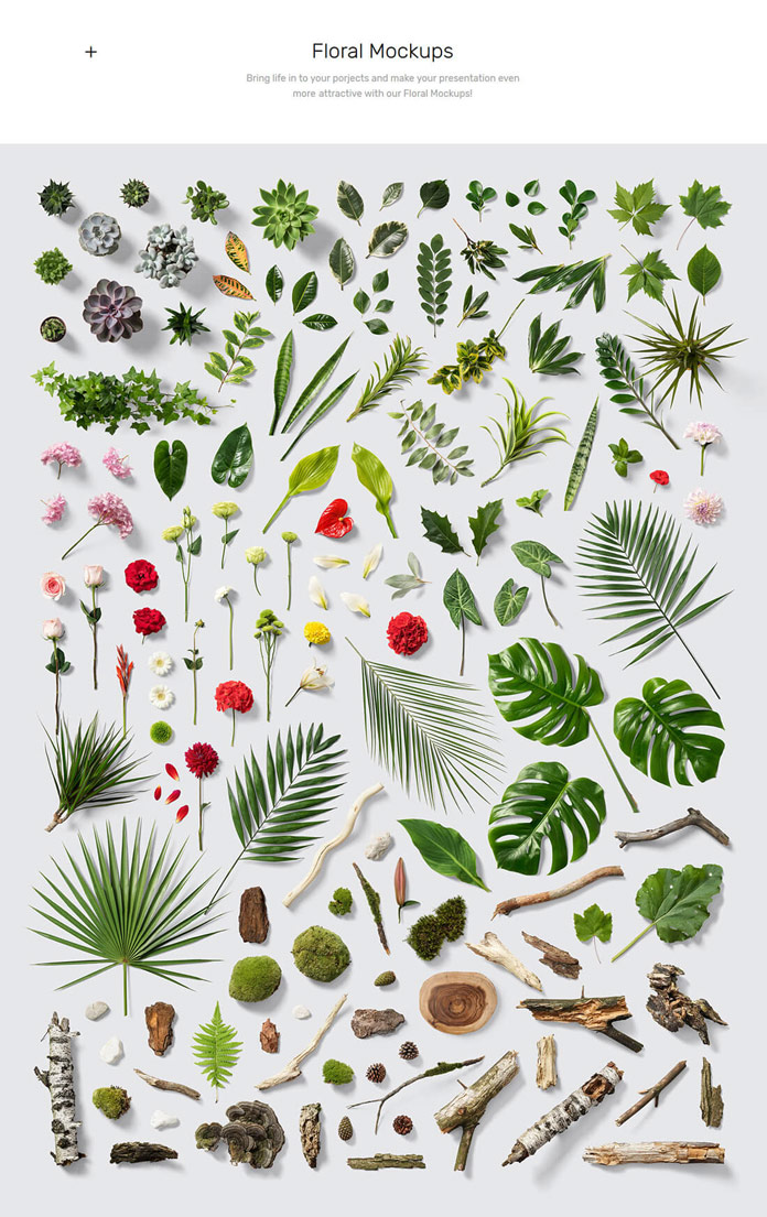 Floral mockups Floral mockups