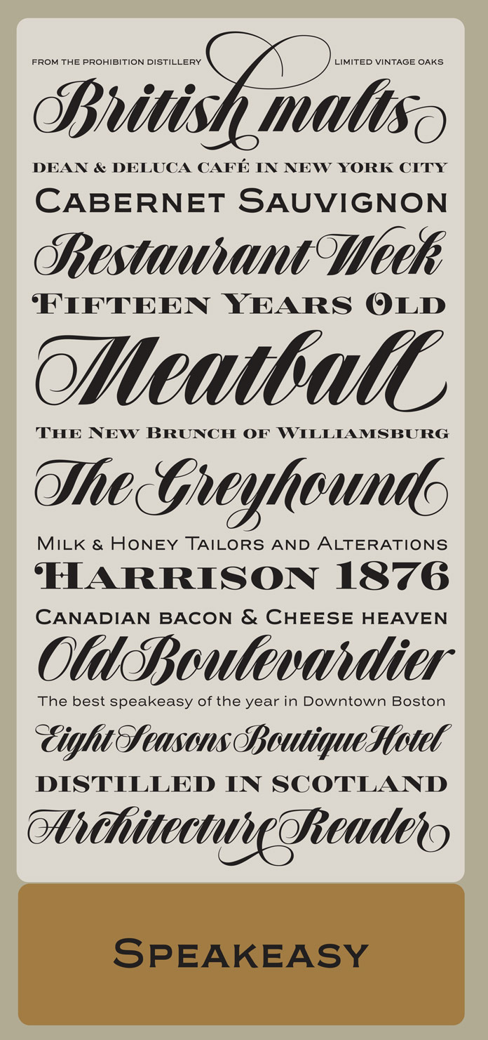 Speakeasy font combo by Alejandro Paul of Sudtipos.
