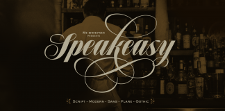 Speakeasy font combo by Alejandro Paul of Sudtipos.