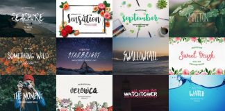 Download professional fonts with extended license