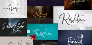 Signature fonts bundle with 55 font families.