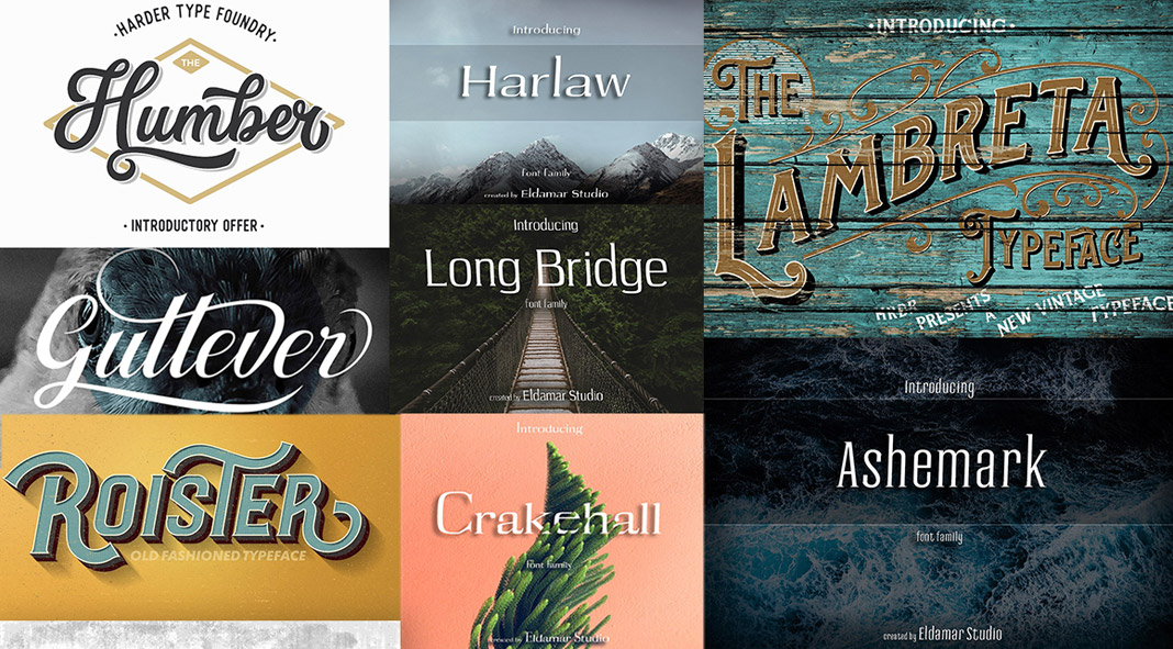 Font Family: Get Familiar with Fonts! 古本 A Visual History of Typefaces and Graphic Styles 2冊セット