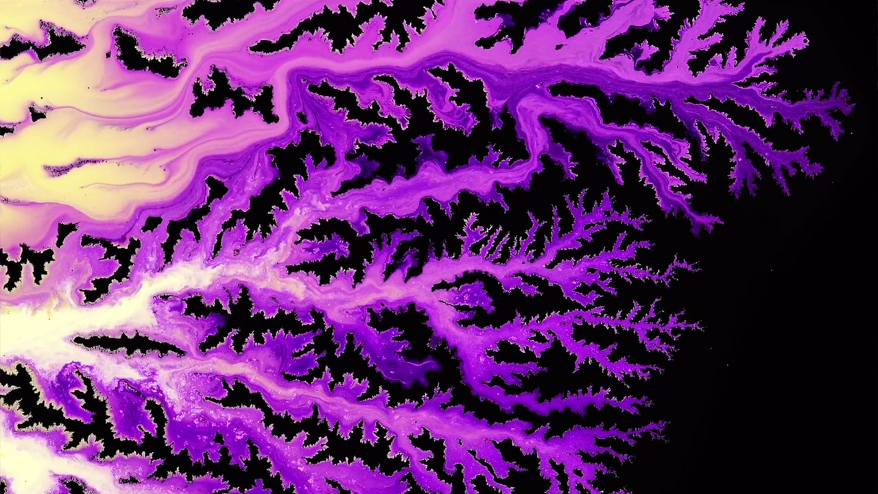 The Empire of C – Experimental Video by Thomas Blanchard Using Colorful Liquids.