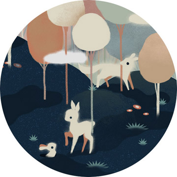 Illustrations by Rafael Varona for Wix