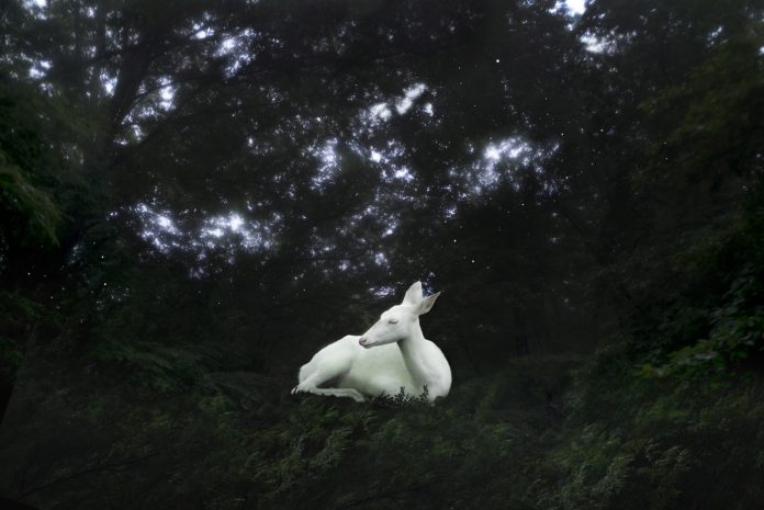 Adelyn - Petros Koublis Photography