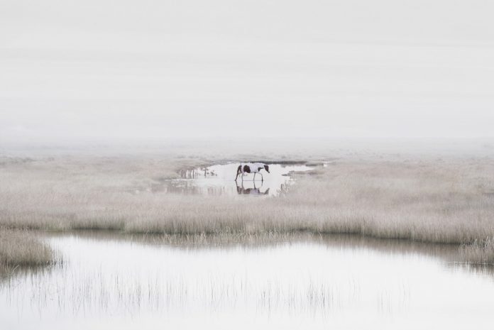 Heloise - Petros Koublis Photography