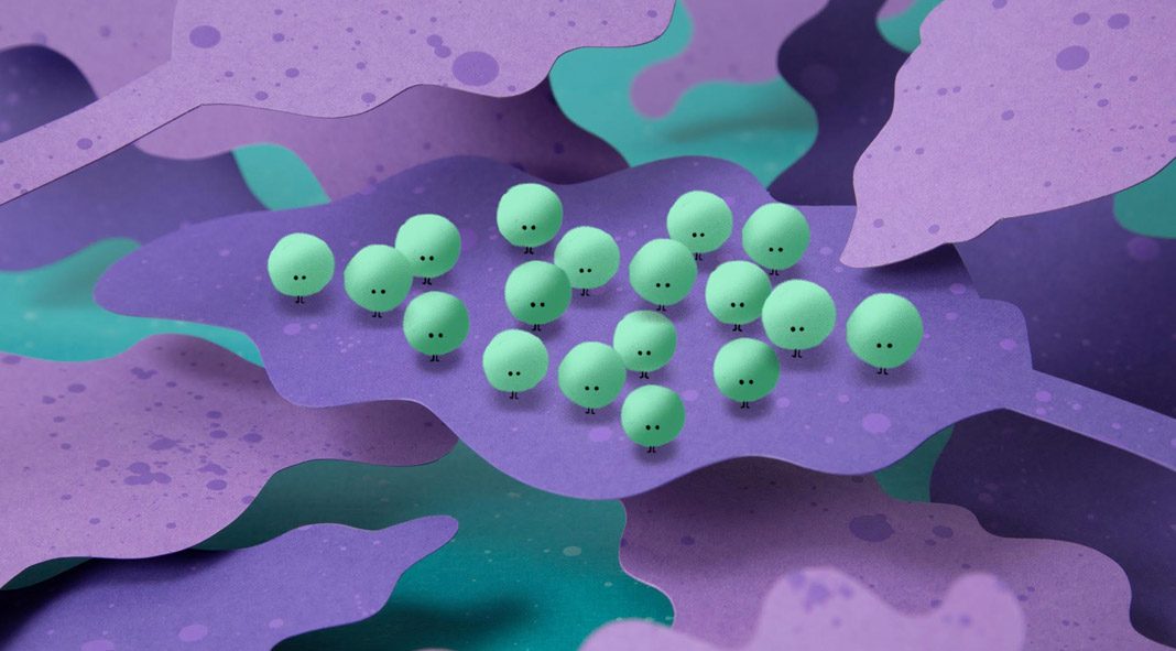 Island animated short directed by Max Mörtl and Robert Löbel