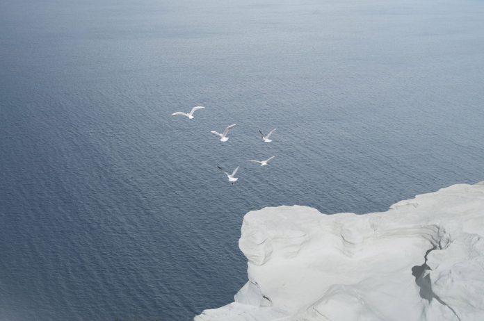 Ranae - Petros Koublis Photography