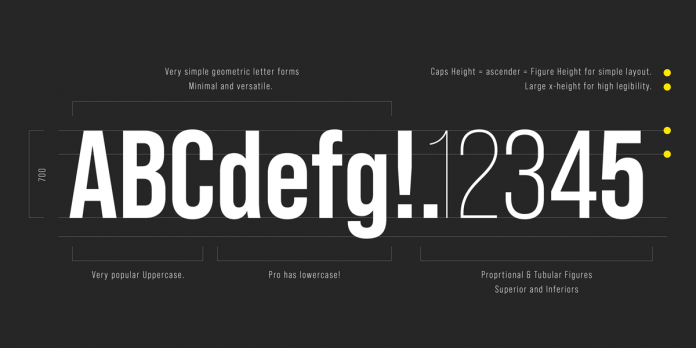 Bebas Neue Pro font family from Dharma Type