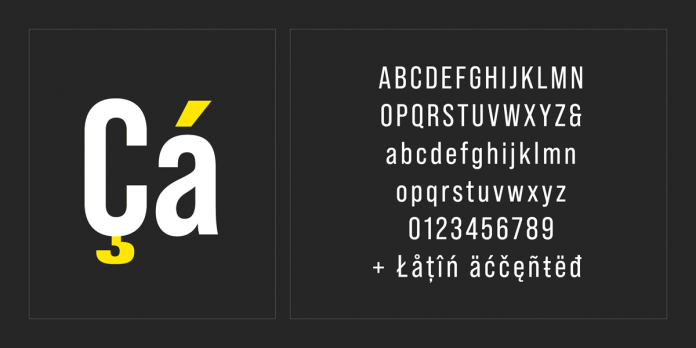 Bebas Neue Pro font family from Dharma Type
