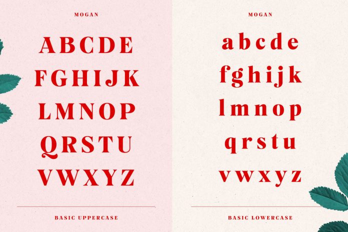 Basic uppercase and lowercase letters.