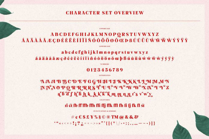 An overview of the character set.