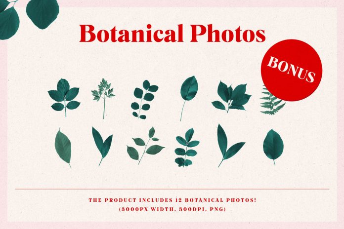 The product includes 12 botanical images as a little bonus.