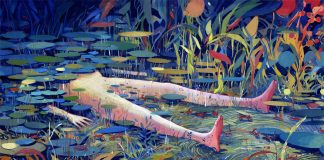 Illustrations by Dean Stuart