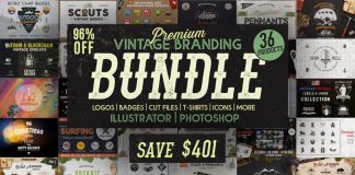 1100+ Premium Vintage Branding Vector Designs