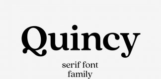 Quincy CF vintage serif font family by Connary Fagen.