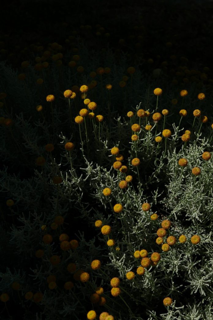PELEGRIN/The poetics of constructing memories (2019), a personal photography project by Lana Špiler.