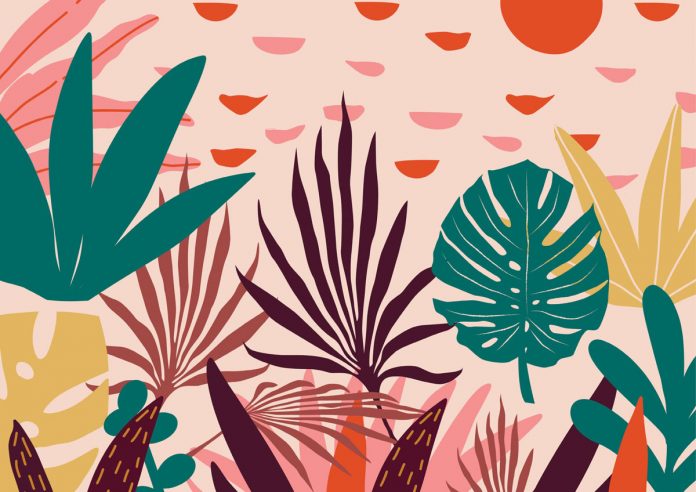 Suka branding by marketing and design consultancy Yes Open.