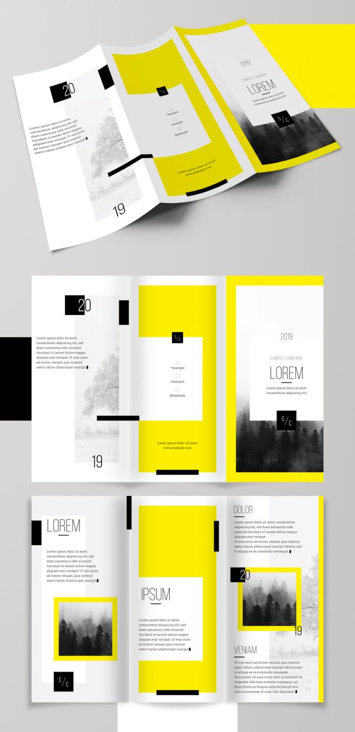 Download for free on Adobe Stock: Bold and Bright Trifold Brochure Layout by Medialoot