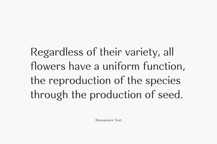 Rossanova font family by Eko Bimantara