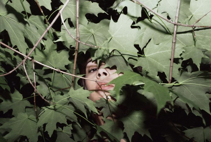 Hidden behind the Leaves, 2016