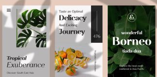 Rossanova font family by Eko Bimantara