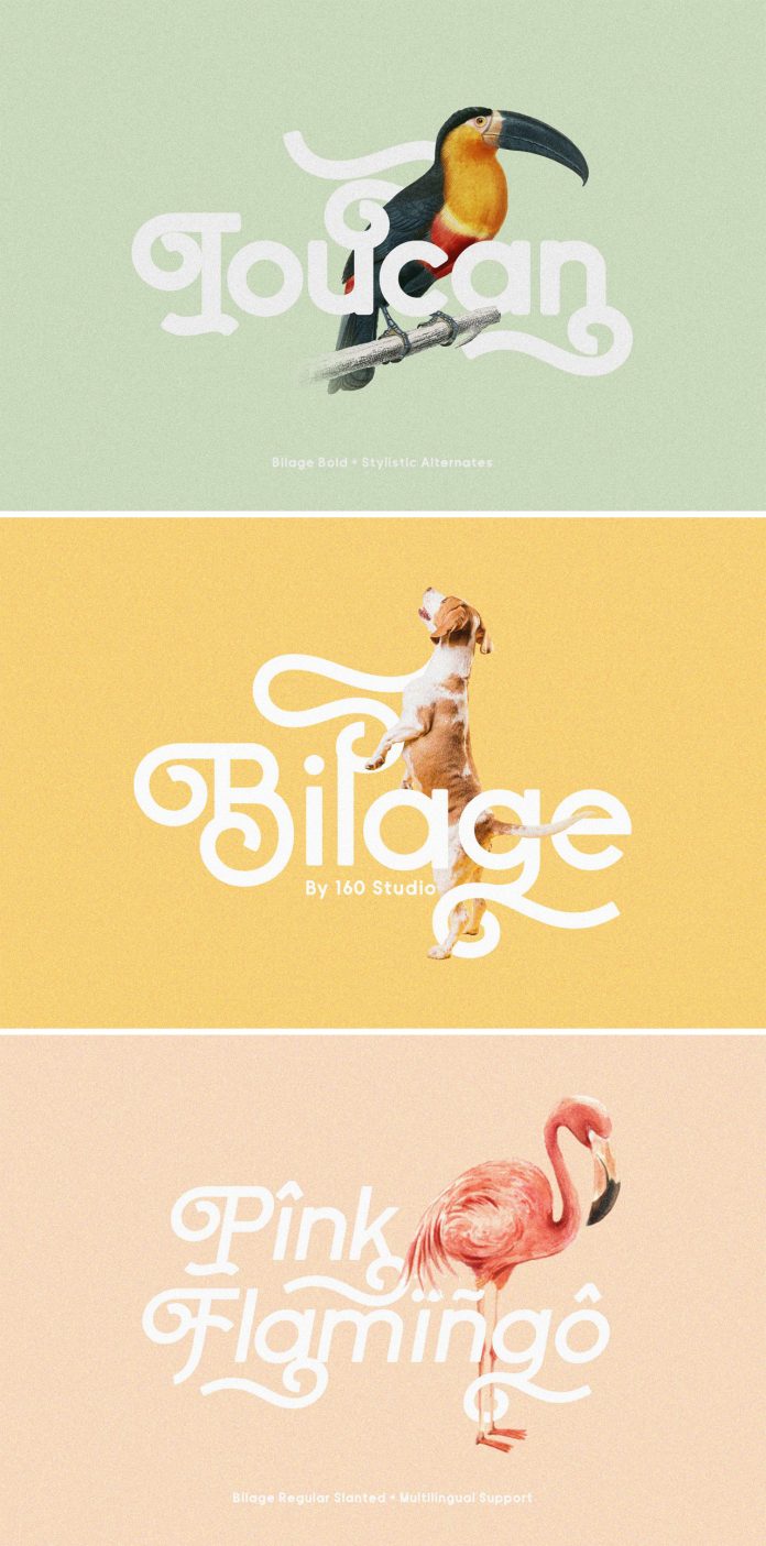 Bilage typeface from 160 Studio.