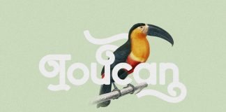 Bilage typeface from 160 Studio.
