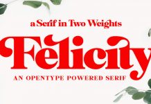 Felicity Serif Font from Fenotype Felicity serif font from Fenotype.