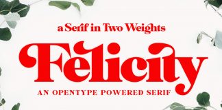 Felicity serif font from Fenotype.
