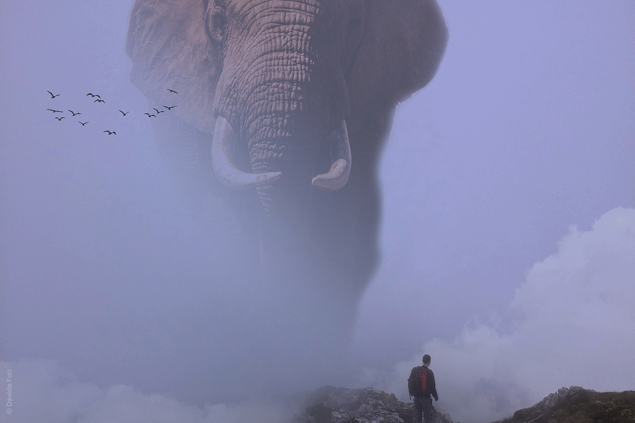 AI Augmented Sky