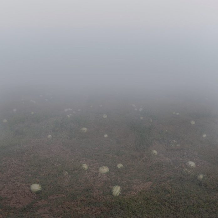 A photo from the series 'Inner State' by Maria Mavropoulou.