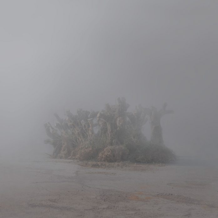 A photo from the series 'Inner State' by Maria Mavropoulou.