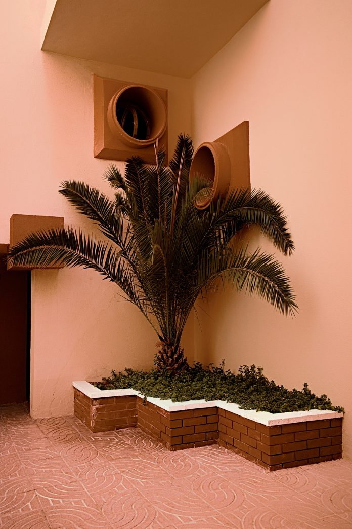 The Modernist, a glimpse of modern architecture captured by photographer Griselda Duch.