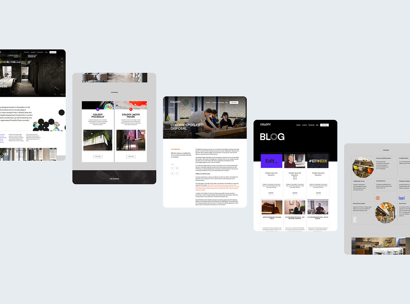 COLONY — Brand Identity & Implementation by Steven Waring and Martin James Power