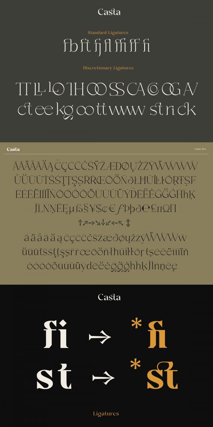 Casta – Display Sans Serif Font Family by Dirtyline Studio